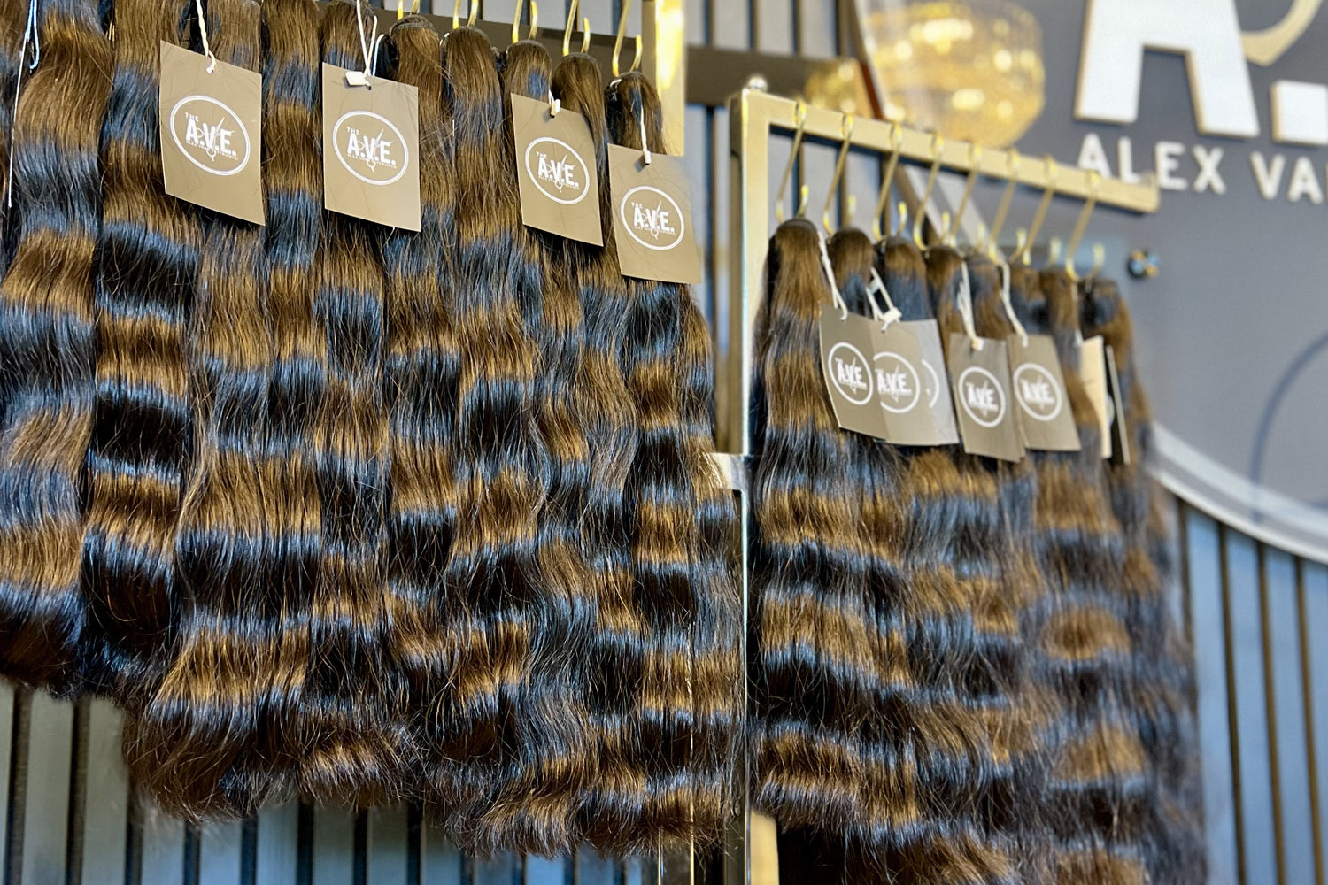 No. 2 / Burmese Curly Collection